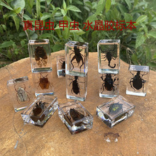 �挍���x�˱����ս̾�͸��ˮ����֬�[�����x֩��ϐ�ӽ������x����