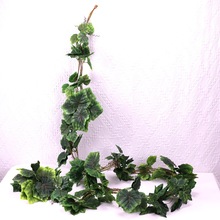 SֱNߙnٗl~ӿ{bֲɽG}~~