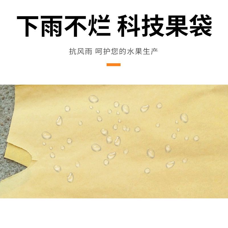 c1f602949e19b03bf53b3dafbd7b79