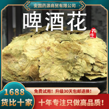 啤酒花干花中药材新鲜新疆啤酒花忽布蛇麻花酿酒面包酵母花酒花