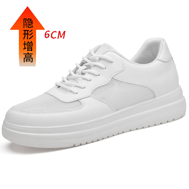 화이트 넷 [Elevated 6]