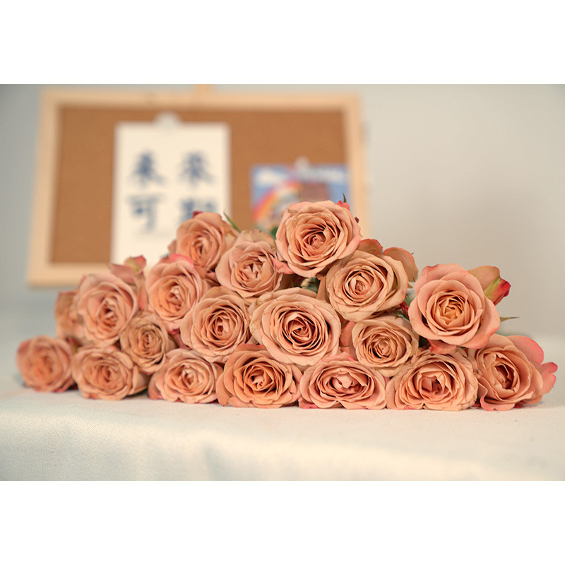 玫瑰花鲜花云南昆明基地批直发百合向日葵红豆家用鲜切水养插|undefined