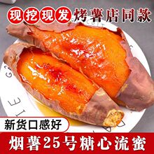 山东烟薯25号正宗烤薯店地瓜新鲜农家自种5蜜薯沙地番薯糖心流油