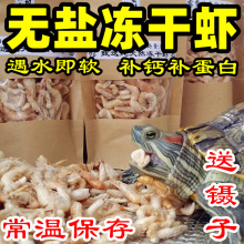 小露露牌虾干冻干虾巴西龟粮冻虾干淡水无盐河虾干龟食鱼饲料鳄龟