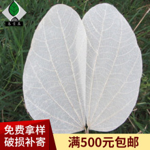 ������p��{�~�}������ˇԭ�� ���G���~�}�����~�}������������