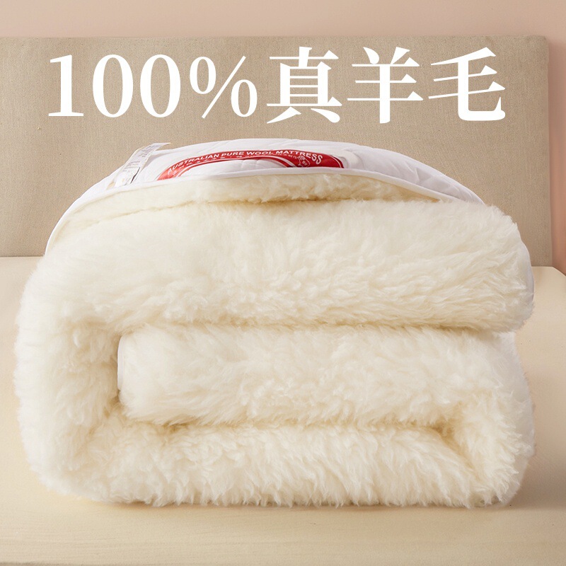 100% Real Wool Mattress Mattress Mattress Autumn and Winter Warm Moisture-proof Lamb Fleece Soft Cushion Foldable Student Double Cushion Quilt