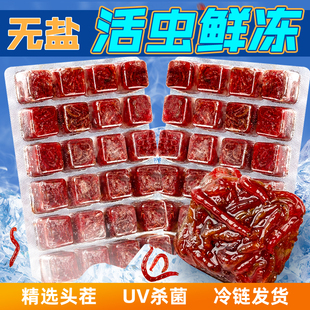 �t�x�����~ʳ�^�p�~��ȸ�~�ྀ�x�S���r�_�h���ǿ������~�Z���