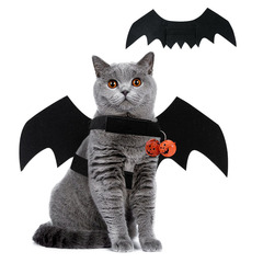 国境を越えてハロウィーンのペットパーティーの装飾猫のお化け祭りの服装ペット犬コウモリの翼