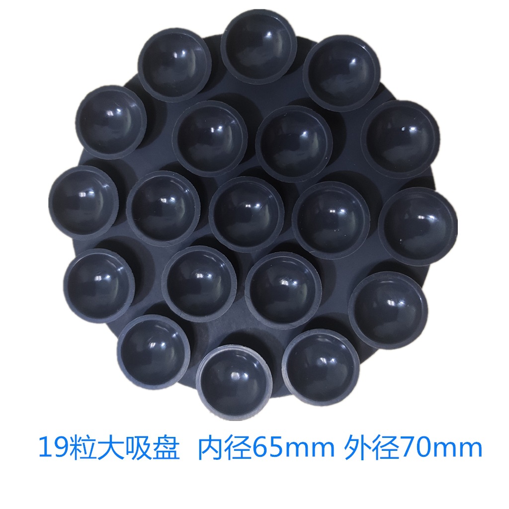 19粒大吸盘