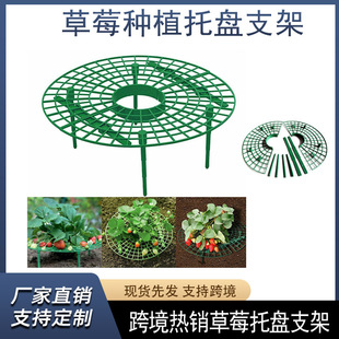 �羳���N��ݮ�Nֲ�бP֧�܈@ˇ����ˮ�� �����~��������֧�μ�