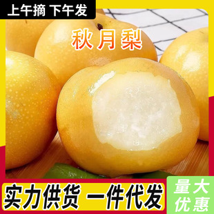 ɽ�|�R����������rˮ������Fժ�������ЋDˮ�������r�����Ӱ��]