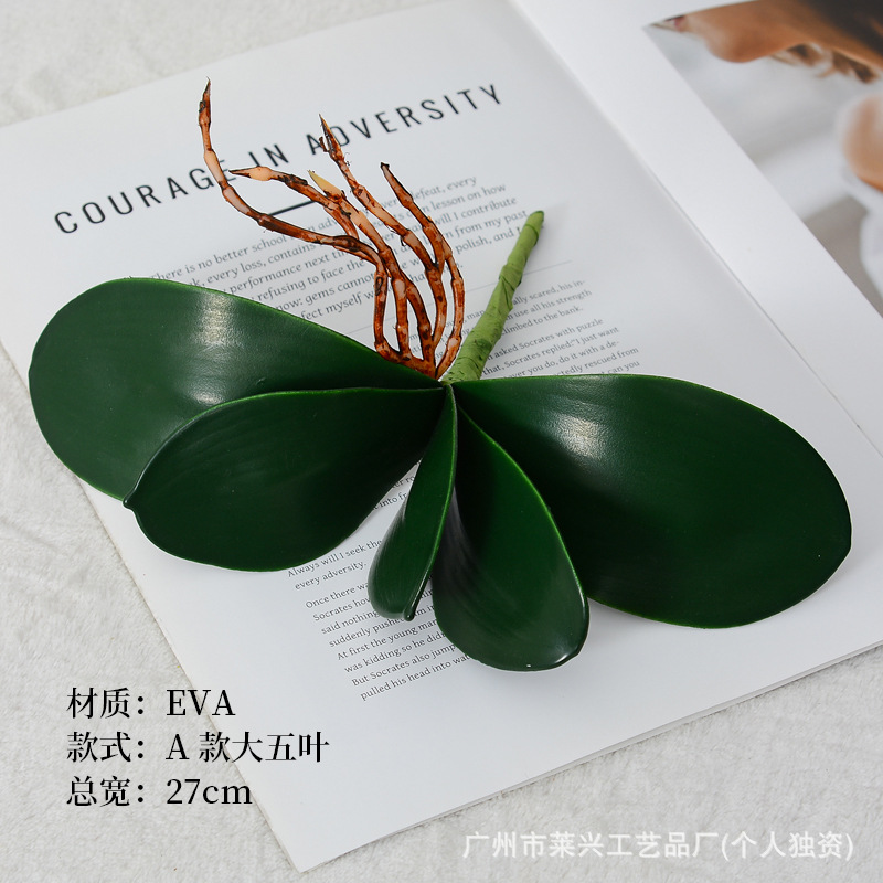 EVA-A 큰 다섯 잎