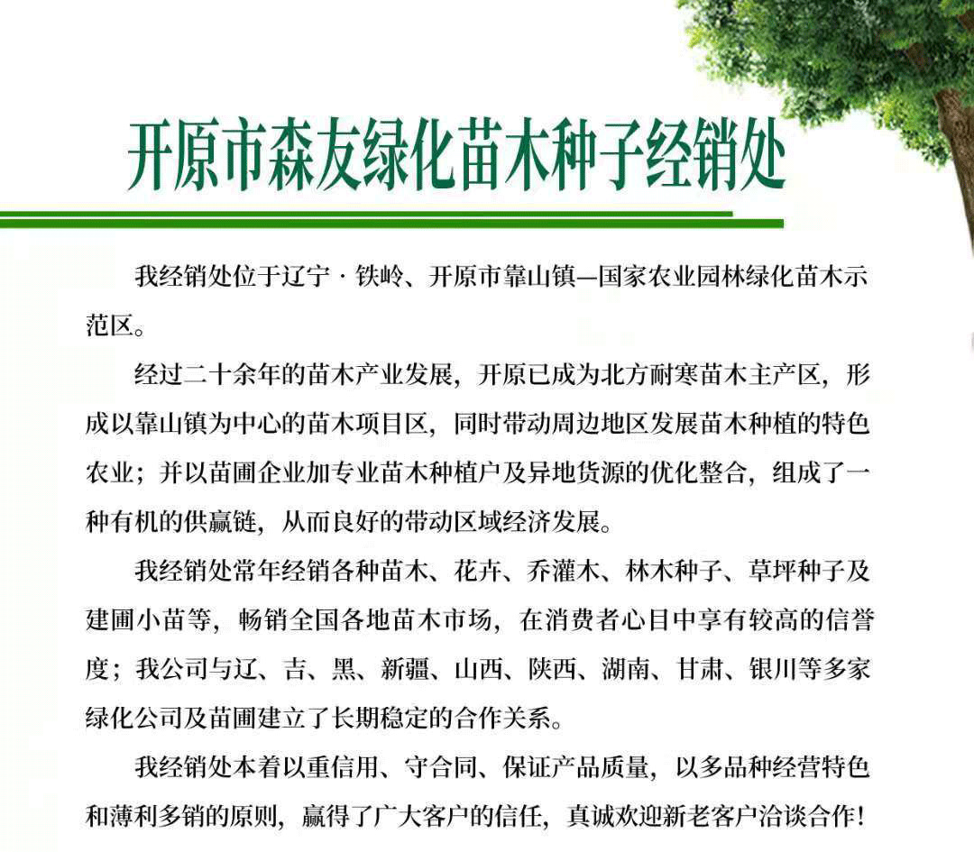 O1CN01ZWJGIA1DVibOhFGdh_!!9995