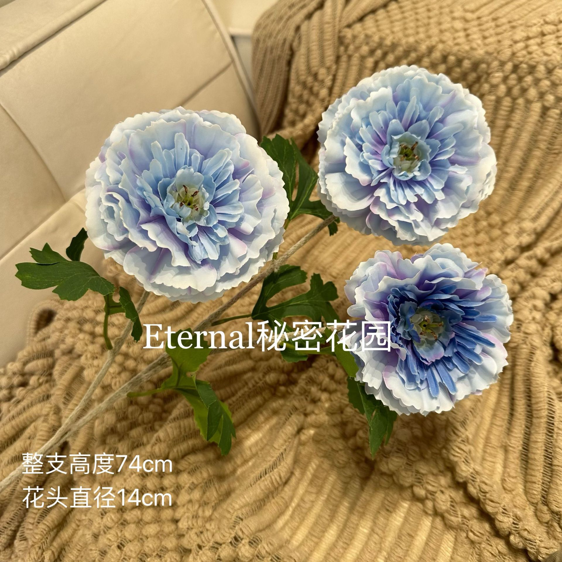 루리안 킹 라이트 블루