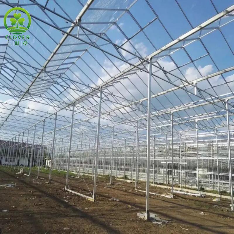 厂家直供智能玻璃温室连栋薄膜温室大棚骨架承接工程蔬菜种植大棚