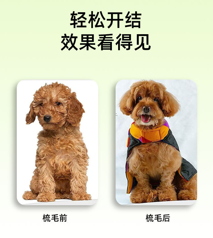 详情图06.jpg