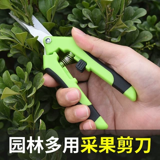 家用剪刀树枝剪手工小型花枝剪果树修枝剪刀园艺省力修花枝剪家用