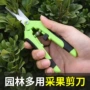 家用手工省力修枝剪树枝剪