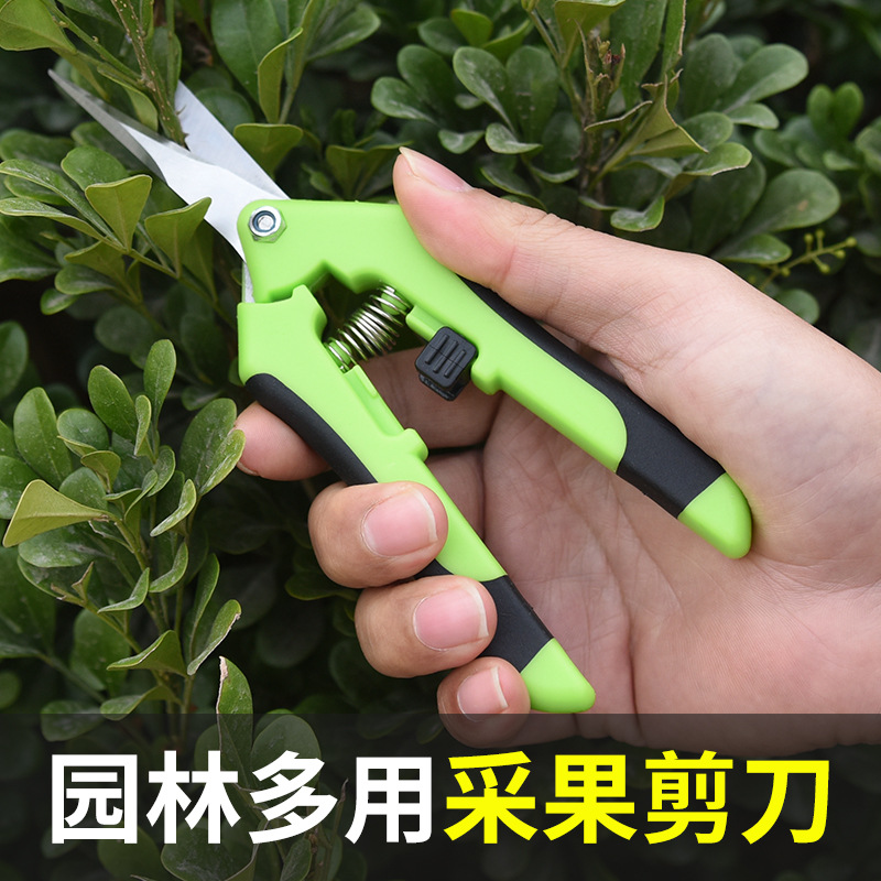 家用剪刀树枝剪手工小型花枝剪果树修枝剪刀园艺省力修花枝剪家用