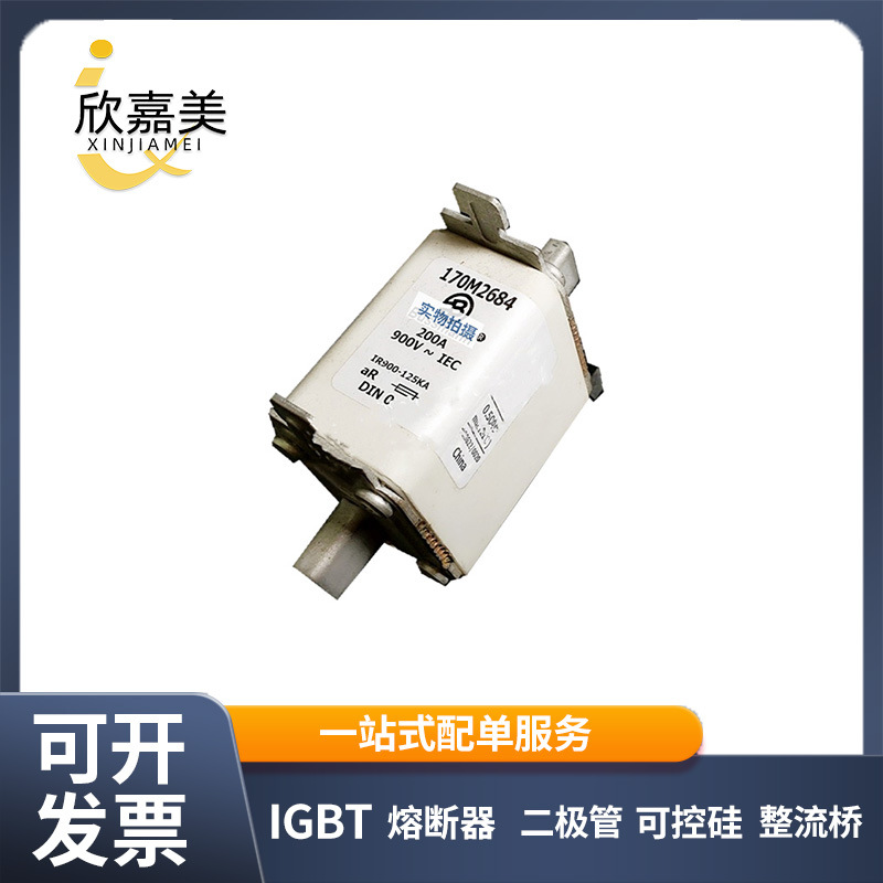 170M2684  170M3011  快速熔断器  电子元器件 型号齐全 量大价优