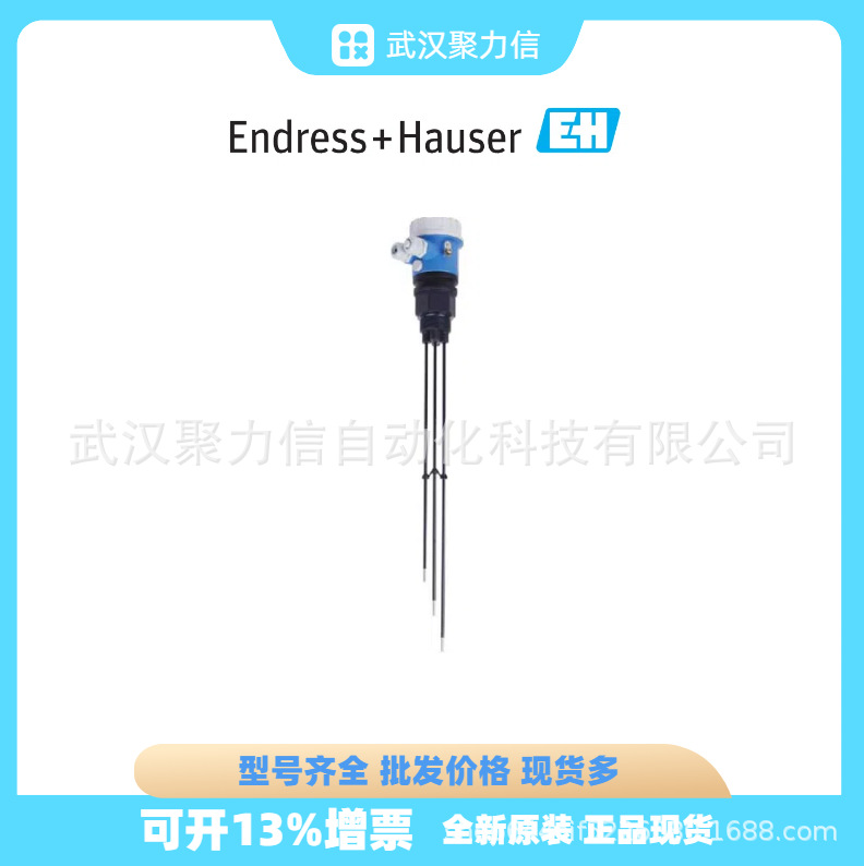 现货E+H 电导式限位开关FTW31-A1A5CA0Y 进口恩德斯豪斯 假一罚十