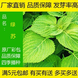 蔬菜种子;粮食作物种子;一二年生花卉