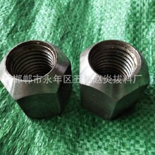 �F؛���� ��������������ĸ �ߏ���������ĸM6-M48  GB/T804