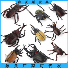 �羳���挍��֩�����x����ģ�����R�������xɳ�P�����[�����R�d