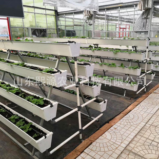 ���ƻ����߲˷Nֲ�� �����ݮ���w�Nֲ�ܷ��ѻ��|����۟o������