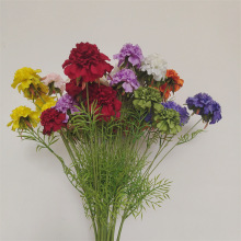 5�^���x�����滨 ��c�廨�b���݆����r���{�軨���x�ݻ��Ҿ�