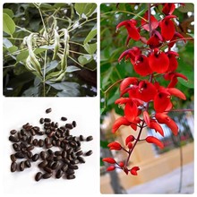 uڴͩN ͩN wM ^N ă߳ѿ