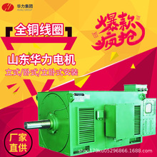 山东华力电机马达厂家直供YR绕线式高压电动机三相异步高效节能
