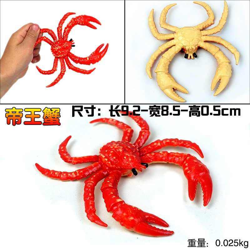 Игрушка, большие морские когнитивные украшения