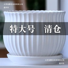 մɻ莧бPش̖҃ȼõmG}lʽ