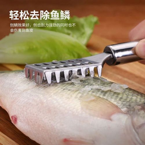 Fish scale planer, fish scale artifact, stainless steel scale remover, fish killing tool, fish scale remover, fish scale brush tool