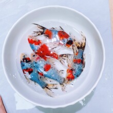 �^�p�~ �m���ݽ� ���W�^ ��ˮ�~ ��ˮ�W�^������ �ݽ� ���w ���B