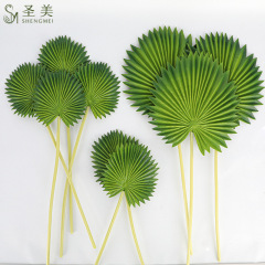 PUの先の葵の葉のヒツジの葉のヒマワリの葉の芭蕉の葉の緑の植栽のシーンの配置の撮影の道具の挿絵の置物をシミュレーションします。