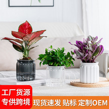 �������Ϙ�֬͸��С�Gֲ����G�}��������m������ˮ����ˮ�໨��