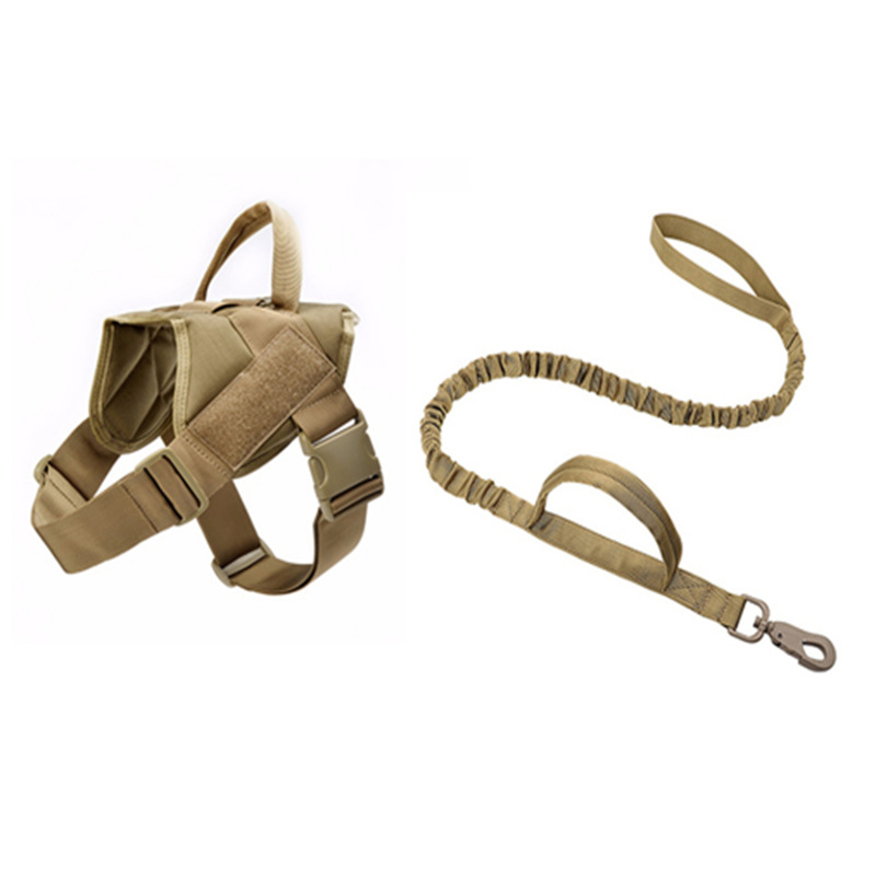 46223a7b6b8a6db8e862692706061b