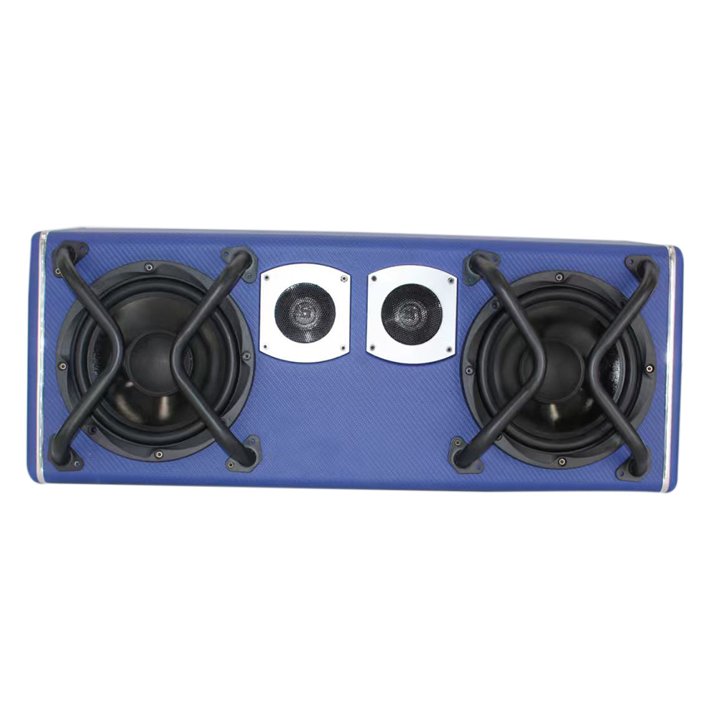 Car Subwoofer High-Power Professional Modified Active Trunk-Mounted 10inch Car Audio System with Dual 10-Inch Speakers