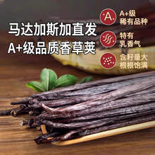 ����v�決�R�_��˹������v�m��Ȼ���v�l����Ѹ�ʳ����ݾ��M��