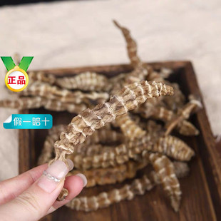 �x�݅�����ϵ؅����m����؛�񹝅����x�����x���Ҝ��ݾ�����ș��