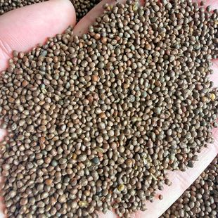 ���K�� ���K��