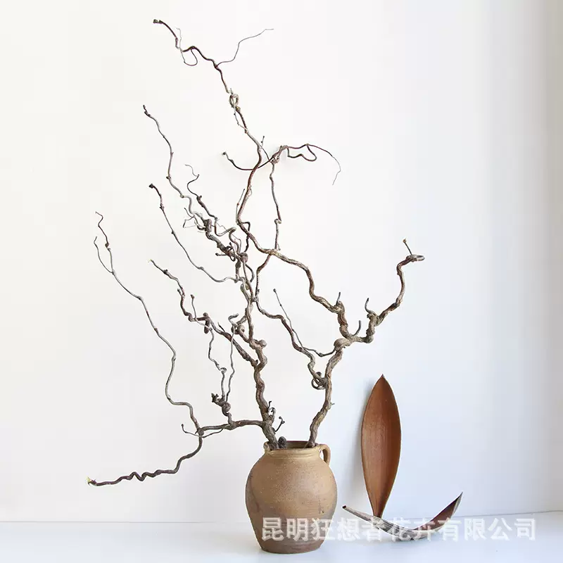 狂想者新品【天然龙枣枝】原木家居摆件装饰龙爪插花禅意干花艺术