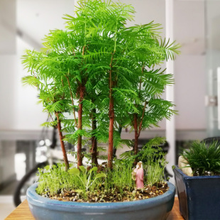 ˮɼ�����辰�҃��ļ���������ɼ�����Ϙ����ԃ����՚�Gֲ��ˮ��