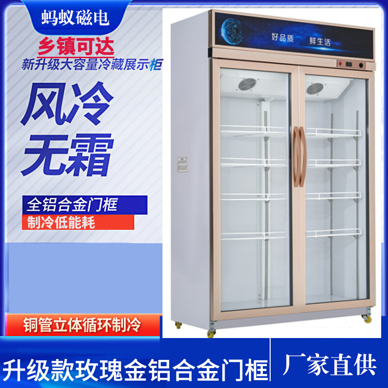 冷藏柜 展示柜 保鲜柜 立式双门铜管商用饮料冷饮蔬菜水果柜冰柜