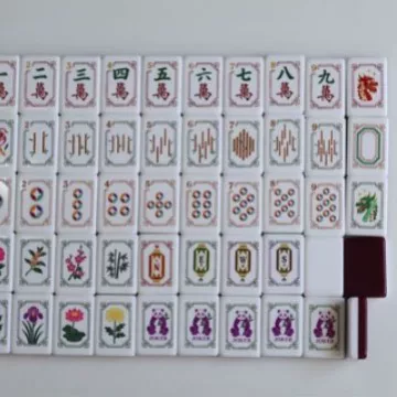 American Mahjong Acrylic Home Use Portable European and American Mahjong Tiles Wholesale Panda American Style Mini Mahjong