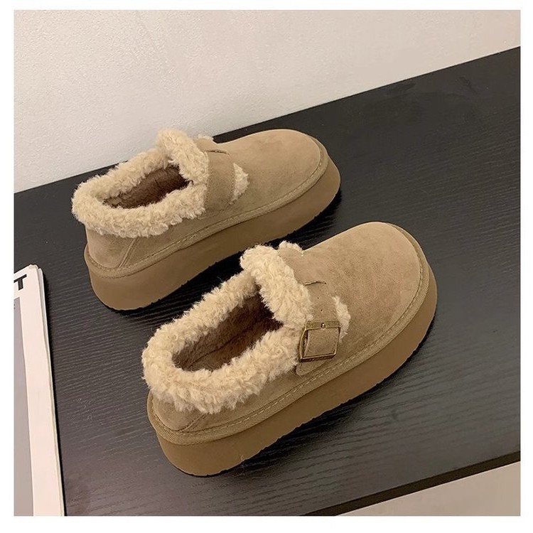 영양 브라운