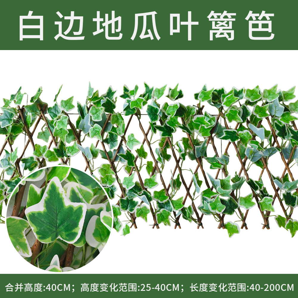 Hoja de papaya blanca