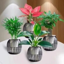 �G�}�j�lؔ��Gֲ���Ի����҃�������ȩ����ˮ������ֲ���ļ����B